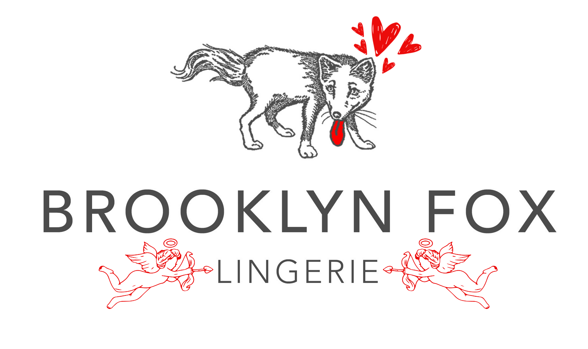 Simone Perele Reflet Boyshort – Brooklyn Fox Lingerie